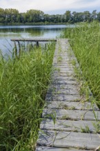 Wooden jetty at the Gantikow bathing lake, Kyritz, Brandenburg, Germany