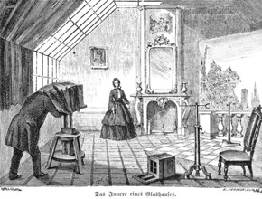 The interior of a glass house, portrait photographer with view camera on tripod, wooden tripod,