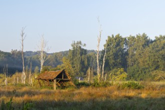 Dilapidated wooden hut in the moor, wet meadow, dead trees, Pfrunger-Burgweiler Ried,