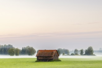 Wooden hut in wet meadow, fog, birch, birch family (Betulaceae), Wilhelmsdorf, Pfrunger-Burgweiler