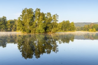 Nillsee, moorland lake, birch trees on an island, birch trees (Betula), birch family (Betulaceae),