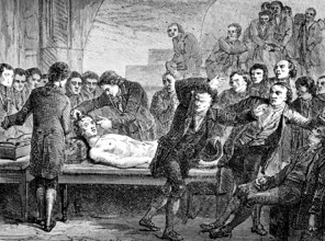 Experiments on a corpse, medicine, experiments, university, horror, science in the 19th century,