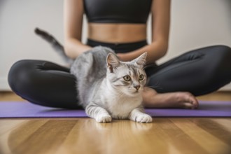 Cat sitting on woman practicing yoga on mat. Pet interrupting home workout and mindfulness