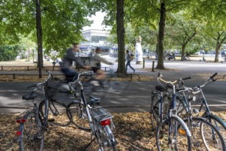 Cycle traffic in Münster, Promenade cycle path, tree-lined, car-free, approximately 4.5 km long