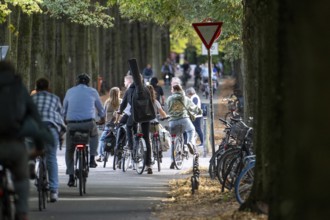 Cycle traffic in Münster, Promenade cycle path, tree-lined, car-free, approximately 4.5 km long