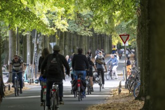 Cycle traffic in Münster, Promenade cycle path, tree-lined, car-free, approximately 4.5 km long