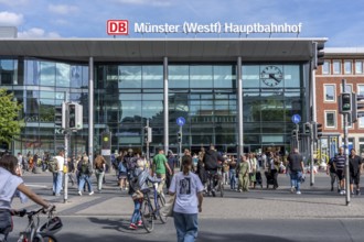Station forecourt of the main railway station in Münster, pedestrian crossing over Bahnhofstraße,