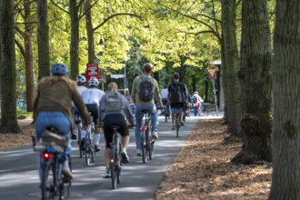 Cycle traffic in Münster, Promenade cycle path, tree-lined, car-free, approximately 4.5 km long
