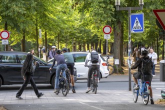 Cycle traffic in Münster, Promenade cycle path, tree-lined, car-free, approximately 4.5 km long
