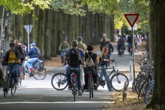 Cycle traffic in Münster, Promenade cycle path, tree-lined, car-free, approximately 4.5 km long