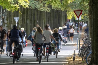 Cycle traffic in Münster, Promenade cycle path, tree-lined, car-free, approximately 4.5 km long