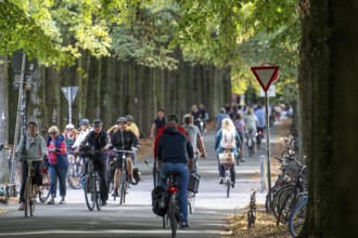 Cycle traffic in Münster, Promenade cycle path, tree-lined, car-free, approximately 4.5 km long