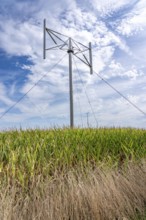 Vertical axis wind turbine, Darrieu wind turbine, 2 vertically mounted rotors rotate around the