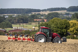 Tractor ploughs up a harvested grain field, south of Billerbeck in Münsterland, North