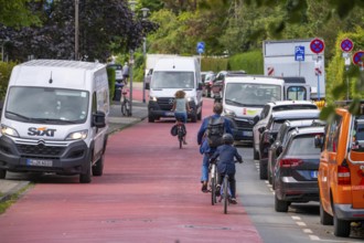 Cycling in Münster, cycle lane, Goldstraße, red asphalt and pictograms indicate to motorists that