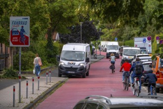 Cycling in Münster, cycle lane, Goldstraße, red asphalt and pictograms indicate to motorists that