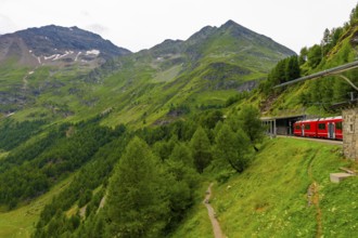 Beautiful Passenger Train Bernina Express on Mountain Alp Grüm in Swiss Alps in a Sunny Cloudy