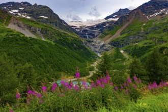 Beautiful Mountain Alp Grüm with Glacier and Alpine Lake Palü in the Swiss Alps in a Cloudy Sunny