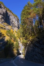 Mountain Road with Tunnel and Tree in the Swiss Alps in Mountain Valley in a Sunny Autumn Day with