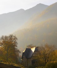 Beautiful Autumn Forest and an Old House and Mountain in the Swiss Alps and Sky with Sunlight in a