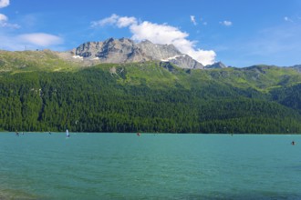 Windsurfing and Wingsurfing on Alpine Lake Silvaplana in a Sunny Summer Day with Mountain in