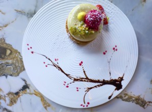 Elegant Dessert Creamy Pistachio Biscuit with Fresh Cream and Decorated with Raspberry and Chopped