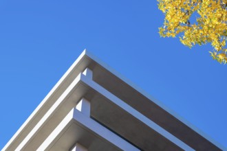 Corner Shape of a Modern Design Building Against Clear Blue Sky and Autumn Trees in a Sunny Day in