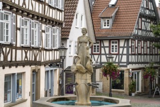 The goose fountain on the market square in Backnang, Rems-Murr district, Baden-Württemberg, Germany