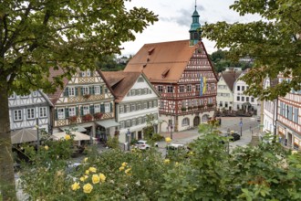 Town hall and half-timbered houses in Backnang, Rems-Murr district, Baden-Württemberg, Germany