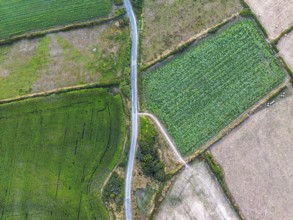 Top Down view over fields and farms from a drone, Kynance Cove, Mount's Bay, Lizard Point,