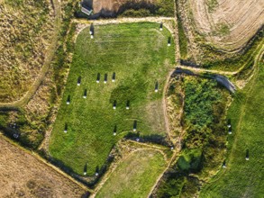 Top Down view over Cornwall fields and farms from a drone, Lizard Peninsula, South West Coast Path,