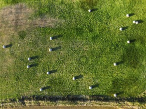 Top Down view over Cornwall fields and farms from a drone, Lizard Peninsula, South West Coast Path,
