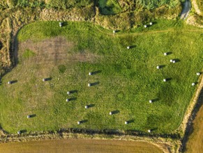 Top Down view over Cornwall fields and farms from a drone, Lizard Peninsula, South West Coast Path,
