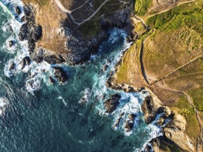 Top Down view over cliffs from a drone, Lizard Peninsula, South West Coast Path, Lizard, Cornwall,