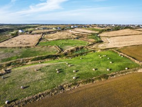 Cornwall fields and farms from a drone, Lizard Peninsula, South West Coast Path, Lizard, Cornwall,