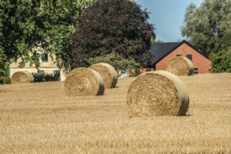 Round straw bales on field in front of farmbuildings in Ystad, Skåne County, Sweden, Scandinavia