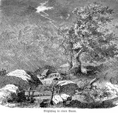 Lightning strike in a tree, lonely wild landscape, rain, storm, brook, rocks, inventions in the
