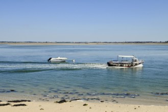 Boats off the Pen-Bron peninsula in the Gulf of Le Grand-Traict, Le Croisic, Loire-Atlantique, Pays