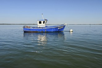 Boat off the Pen-Bron peninsula in the Gulf of Le Grand-Traict, Le Croisic, Loire-Atlantique, Pays