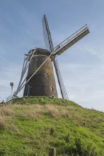 Windmill Windmill 'Prins van Oranje', tower windmill from 1870, Bredevoort, province of Gelderland,