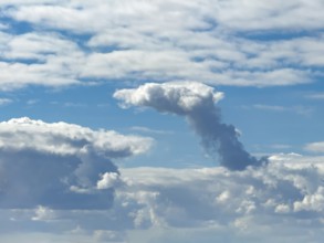 Cumulonimbus cluster cloud towering in the centre of the image, Altostratus above, Stratocumuus