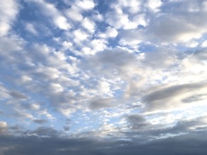 View at dusk on top large cloud field of cirrocumulus clouds drifting at high altitude white