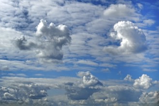 Several types of cumulus white clouds, darker cumulus clouds at the bottom edge of the picture