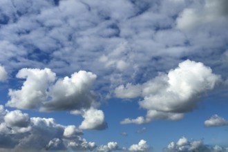 Several types of cumulus clouds white clouds, below and in the middle cumulus cluster clouds above