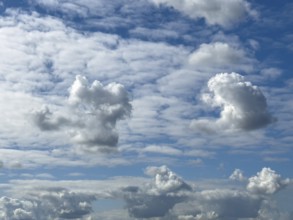 Several types of cumulus white clouds, cumulus clouds at the bottom edge of the picture, cumulus