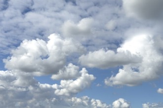 Several types of cumulus white clouds, cumulus clouds at the bottom edge of the picture,
