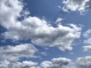 Many altocumulus clouds Cluster clouds white clouds with fibrous edges in front of blue sky,