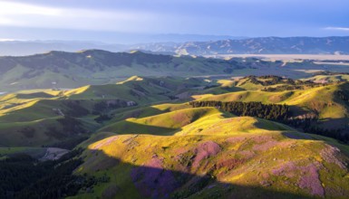 Late summer country landscape with colorful blooming meadow and sunbeam, AI generated