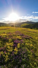 Late summer country landscape with colorful blooming meadow and sunbeam, AI generated