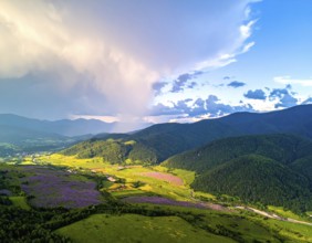 Late summer country landscape with colorful blooming meadow and sunbeam, AI generated